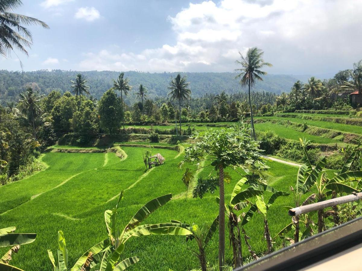 Готель Tegal Sari, Pemuteran- North Bali Екстер'єр фото