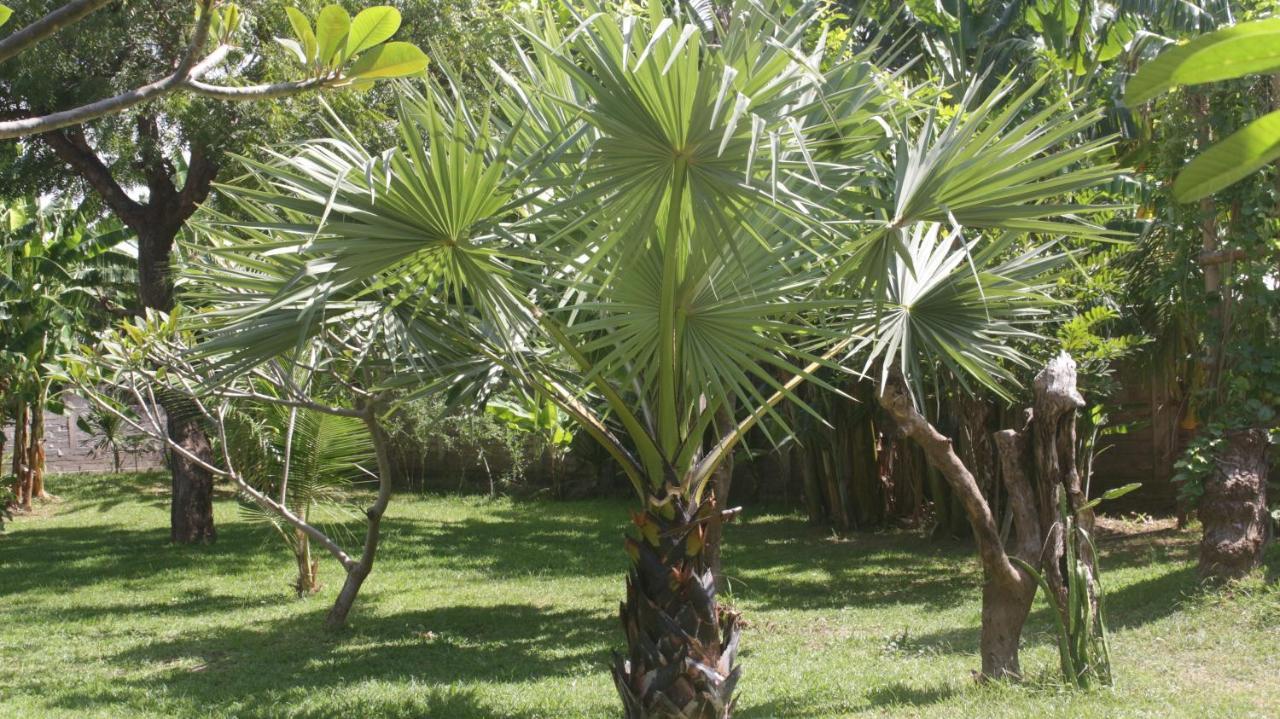 Готель Tegal Sari, Pemuteran- North Bali Екстер'єр фото