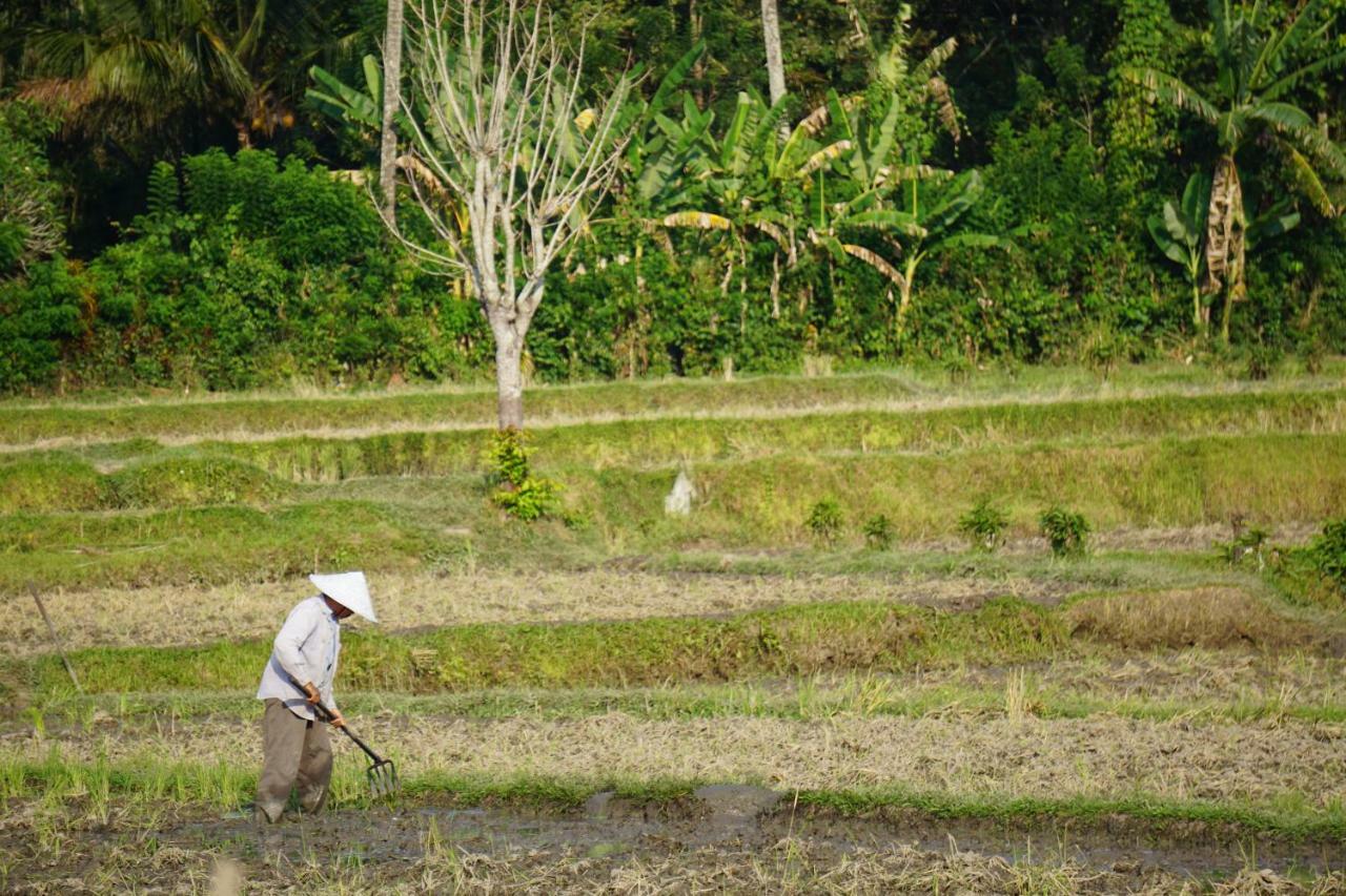 Готель Tegal Sari, Pemuteran- North Bali Екстер'єр фото