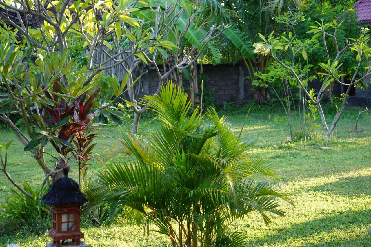 Готель Tegal Sari, Pemuteran- North Bali Екстер'єр фото