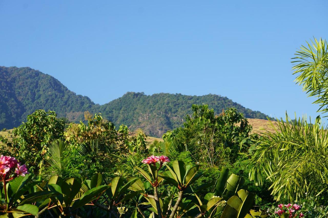 Готель Tegal Sari, Pemuteran- North Bali Екстер'єр фото